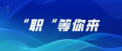 石首市2024年“服务民营企业” 专场招聘会（四）