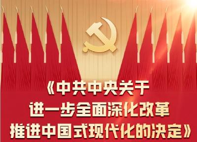 一图全解二十届三中全会《决定》