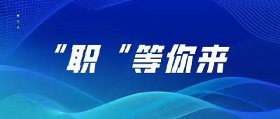 石首市2024年百日千万网络招聘会（四）