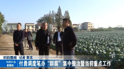 付勇调度笔办“群腐”集中整治暨当前重点工作